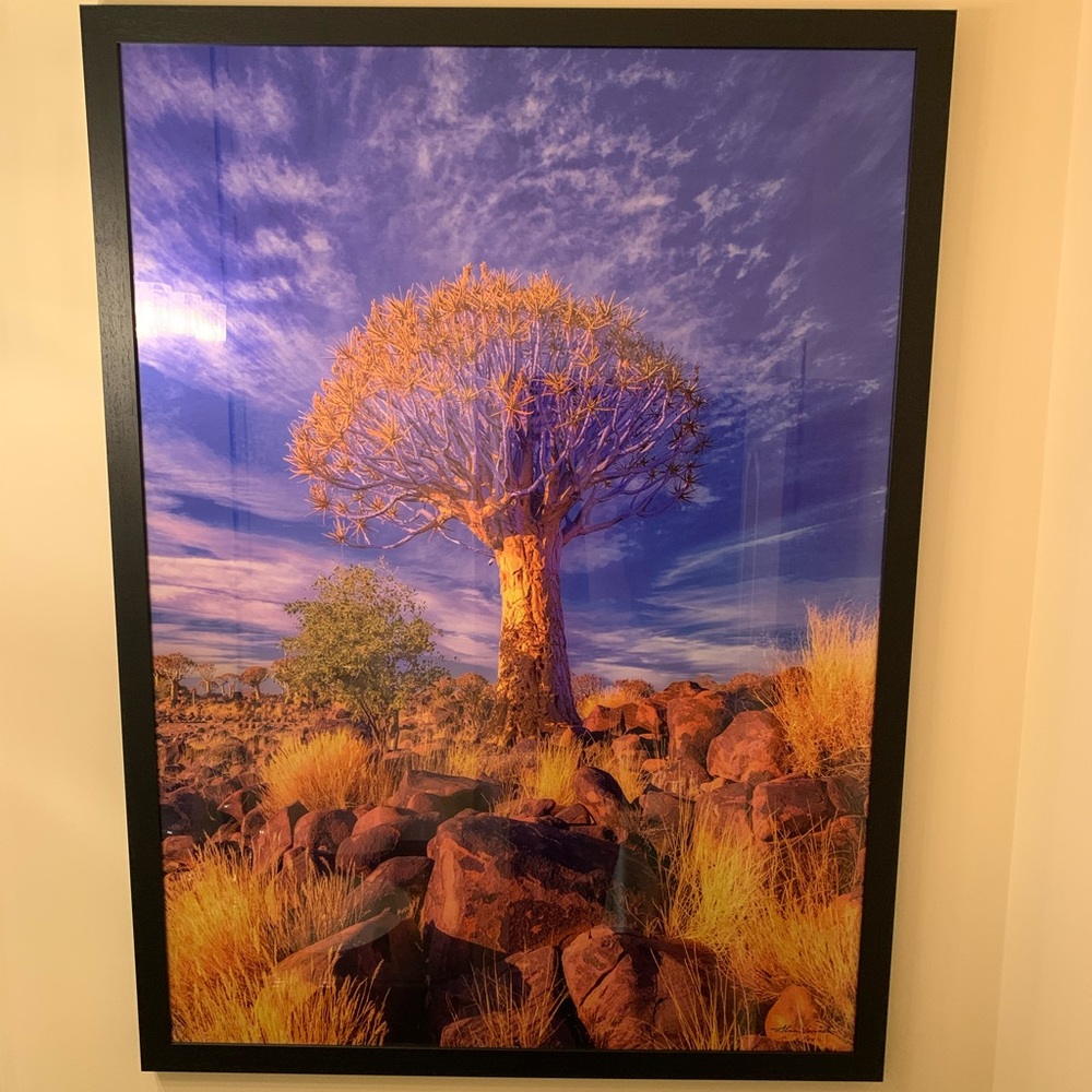 Photography - Fujiflex Print, Unframed - Fine Art - Africa